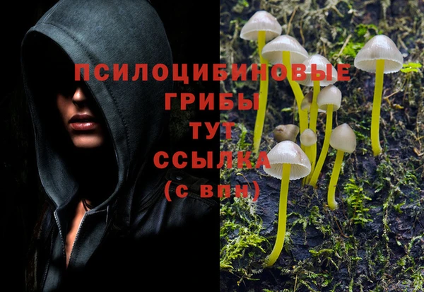 экстази Новозыбков