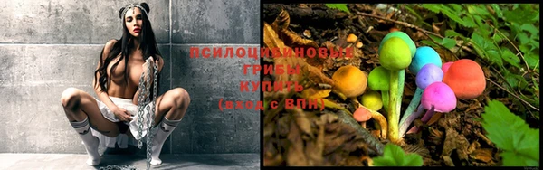 экстази Новозыбков