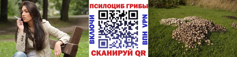 Галлюциногенные грибы ЛСД  ссылка на мегу как зайти  Конаково 
