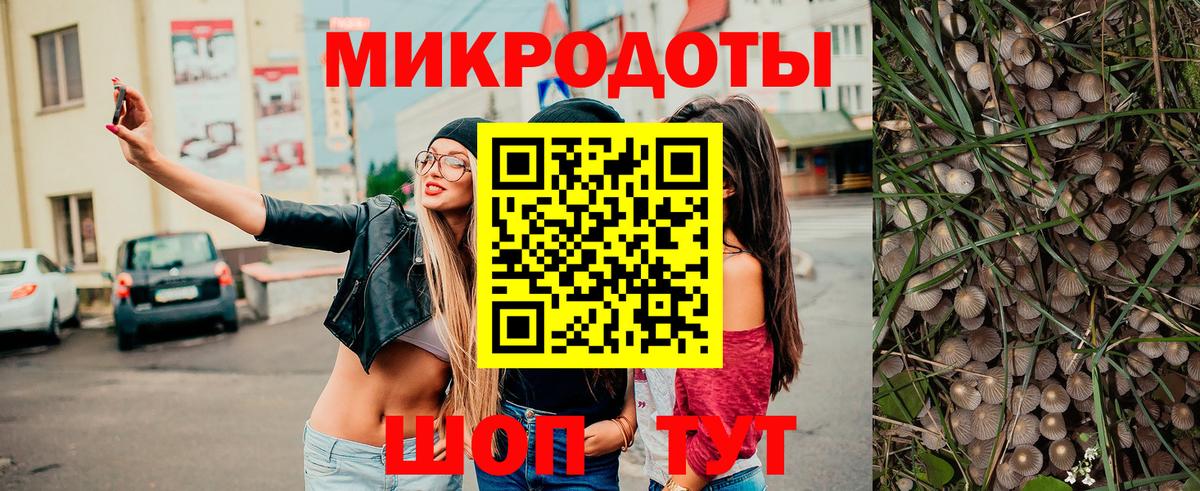 Псилоцибиновые грибы мухоморы  Вход с VPN  Конаково  Галлюциногенные грибы Psilocybe 