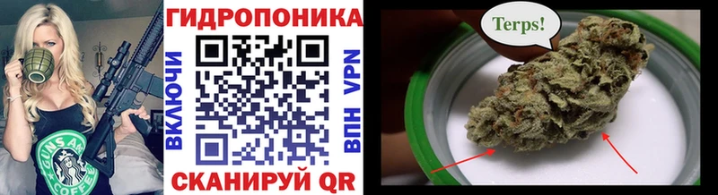 Шишки марихуана сатива  Конаково 